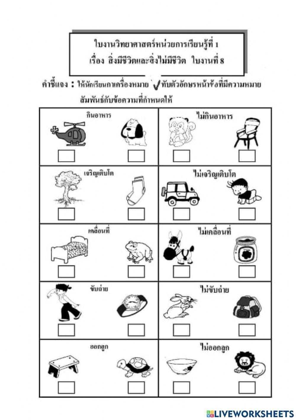ใบงานสิ่งมีชีวิตและสิ่งไม่มีชีวิต