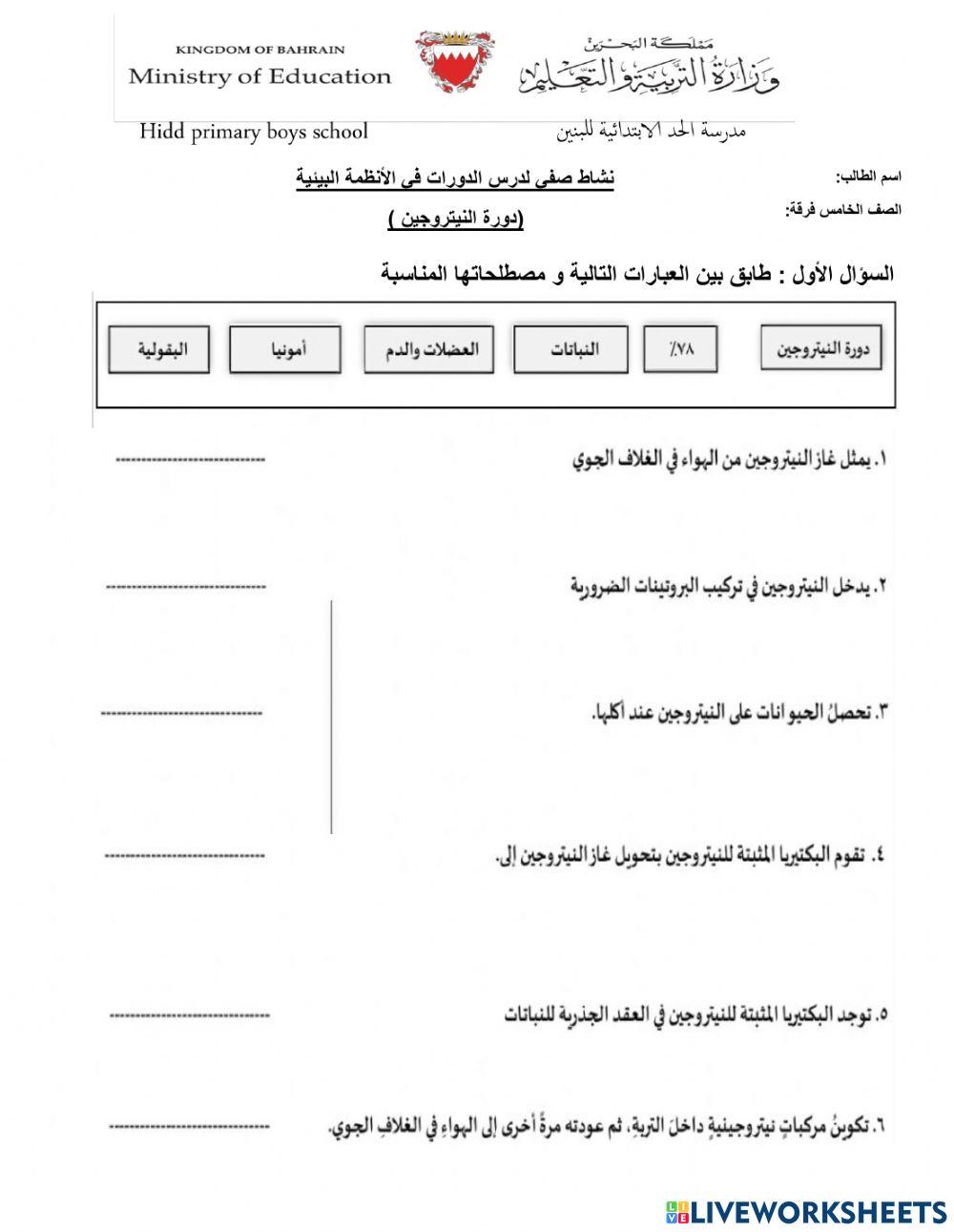 دورة النيتروجين