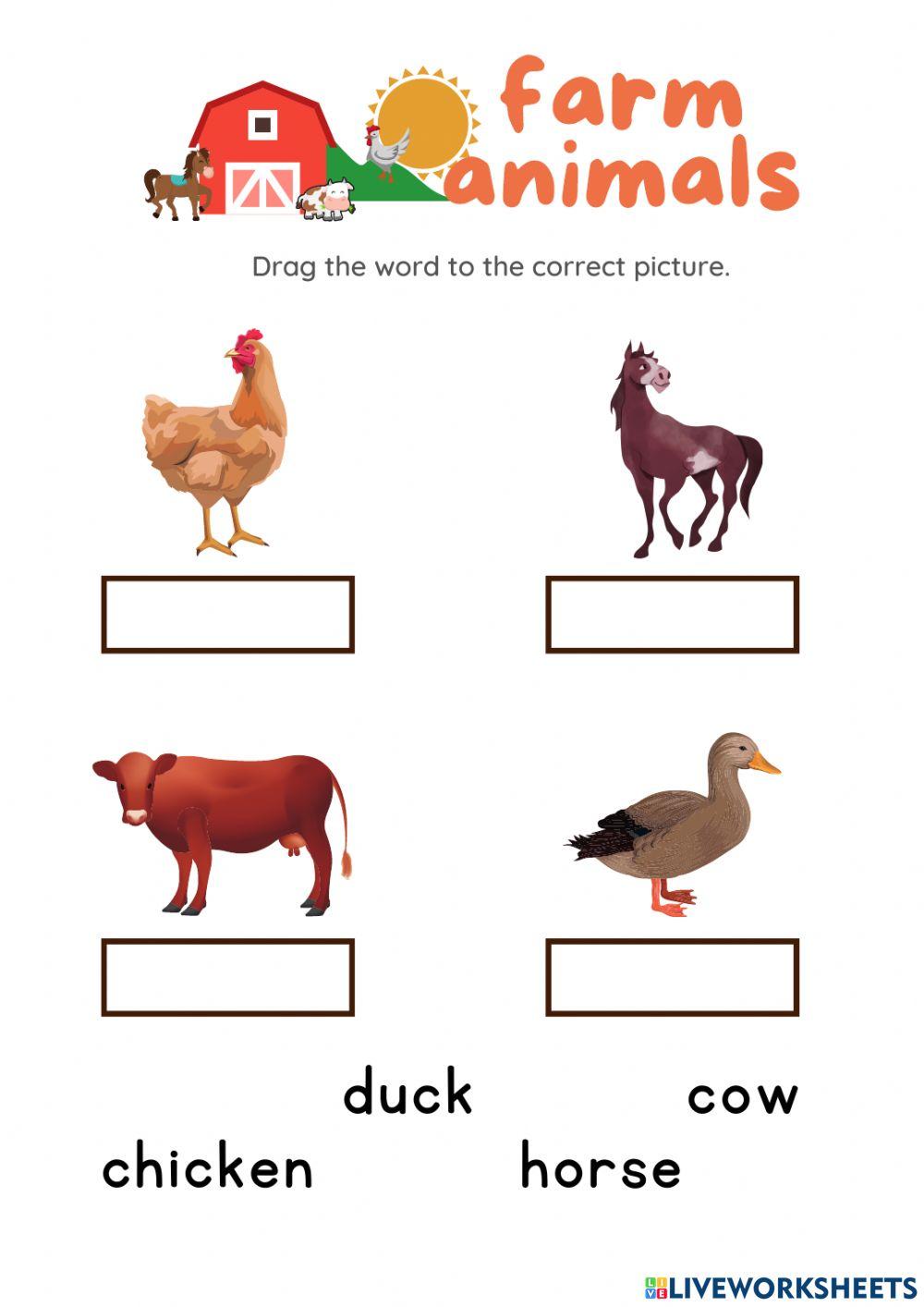Farm Animals: Match 1