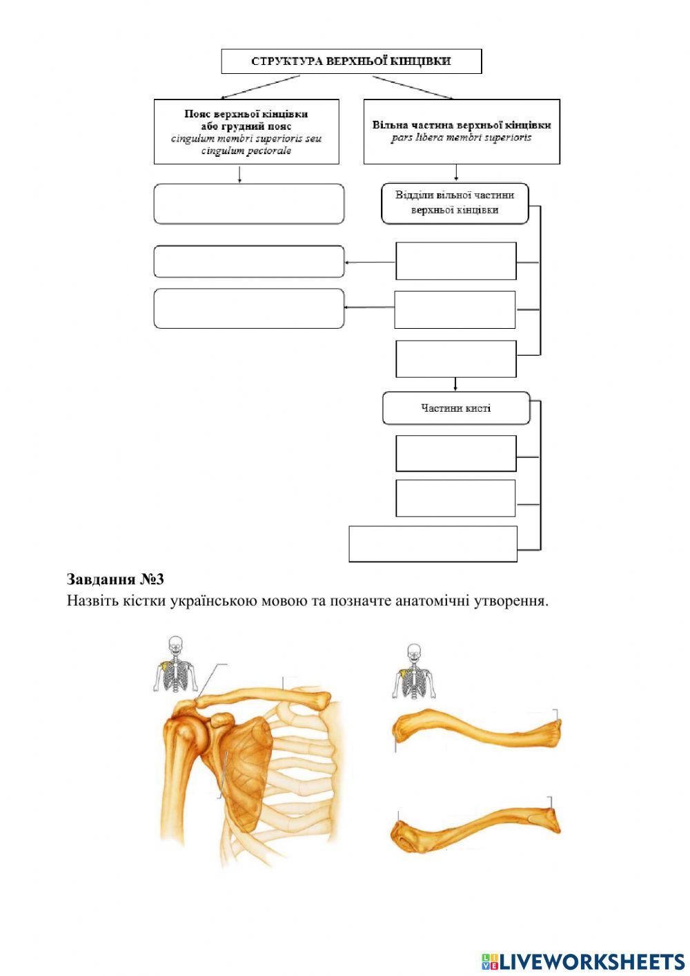 Практичне заняття 2