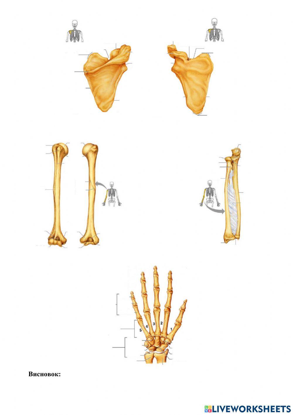 Практичне заняття 2