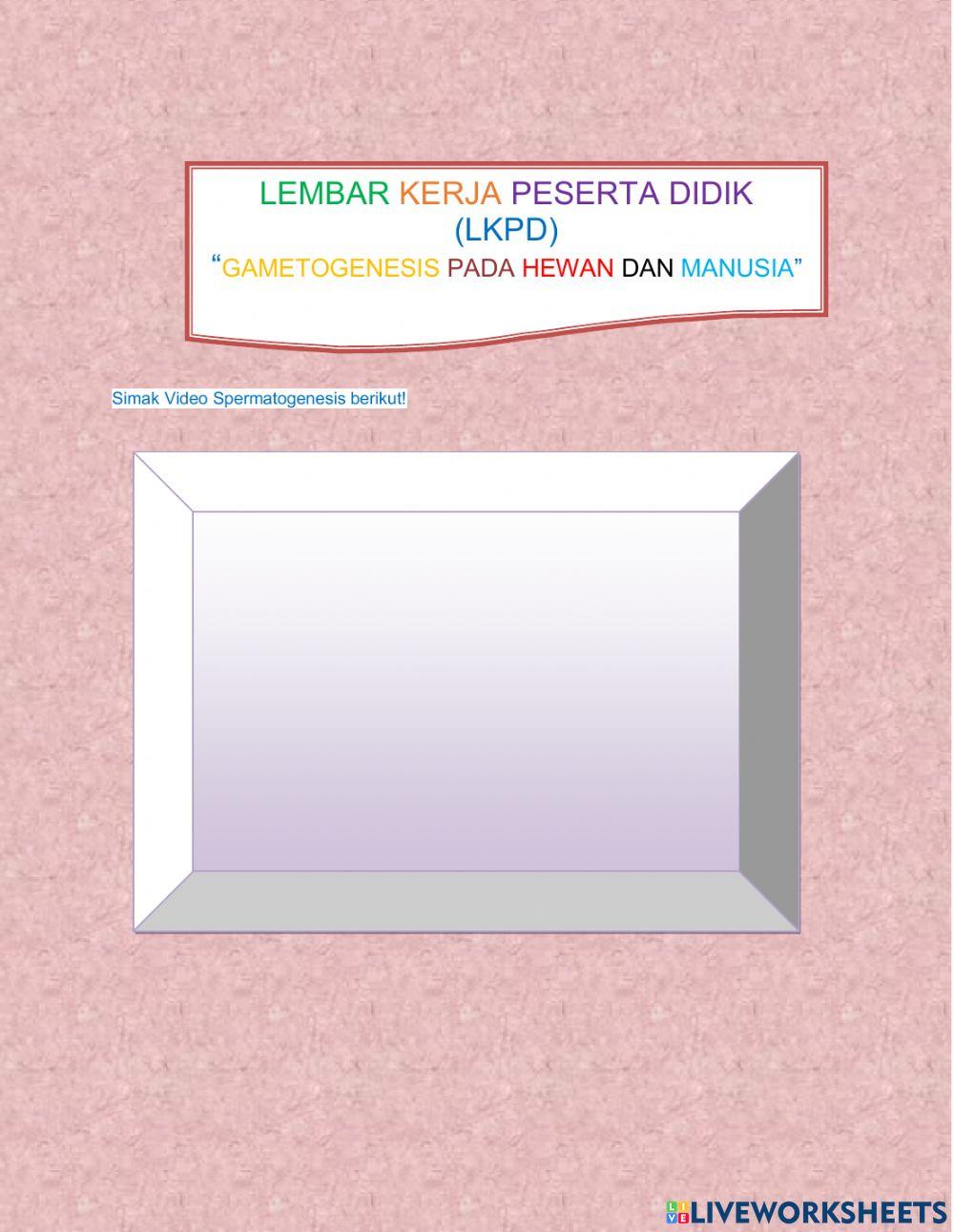 Gametogenesis pada manusia