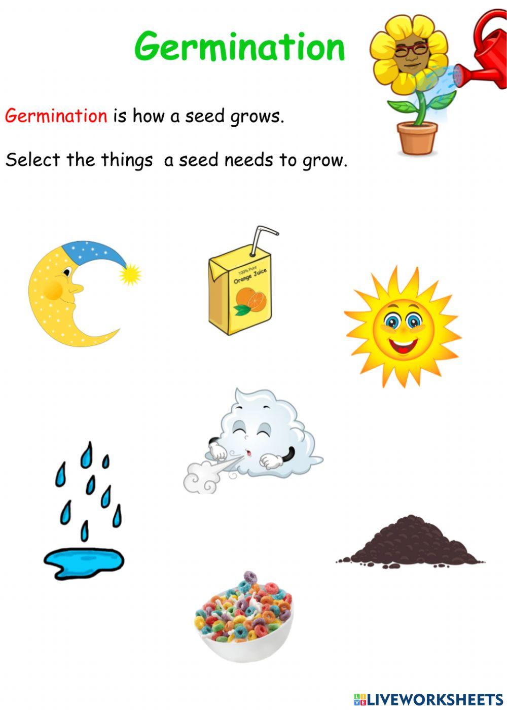 Germination