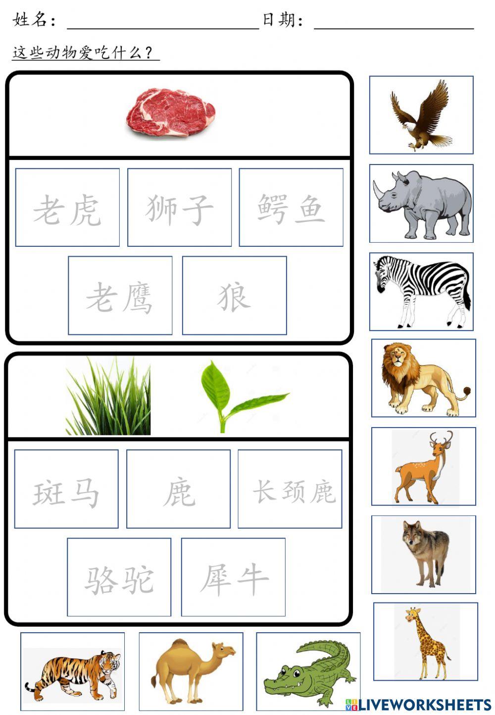 野生动物吃什么