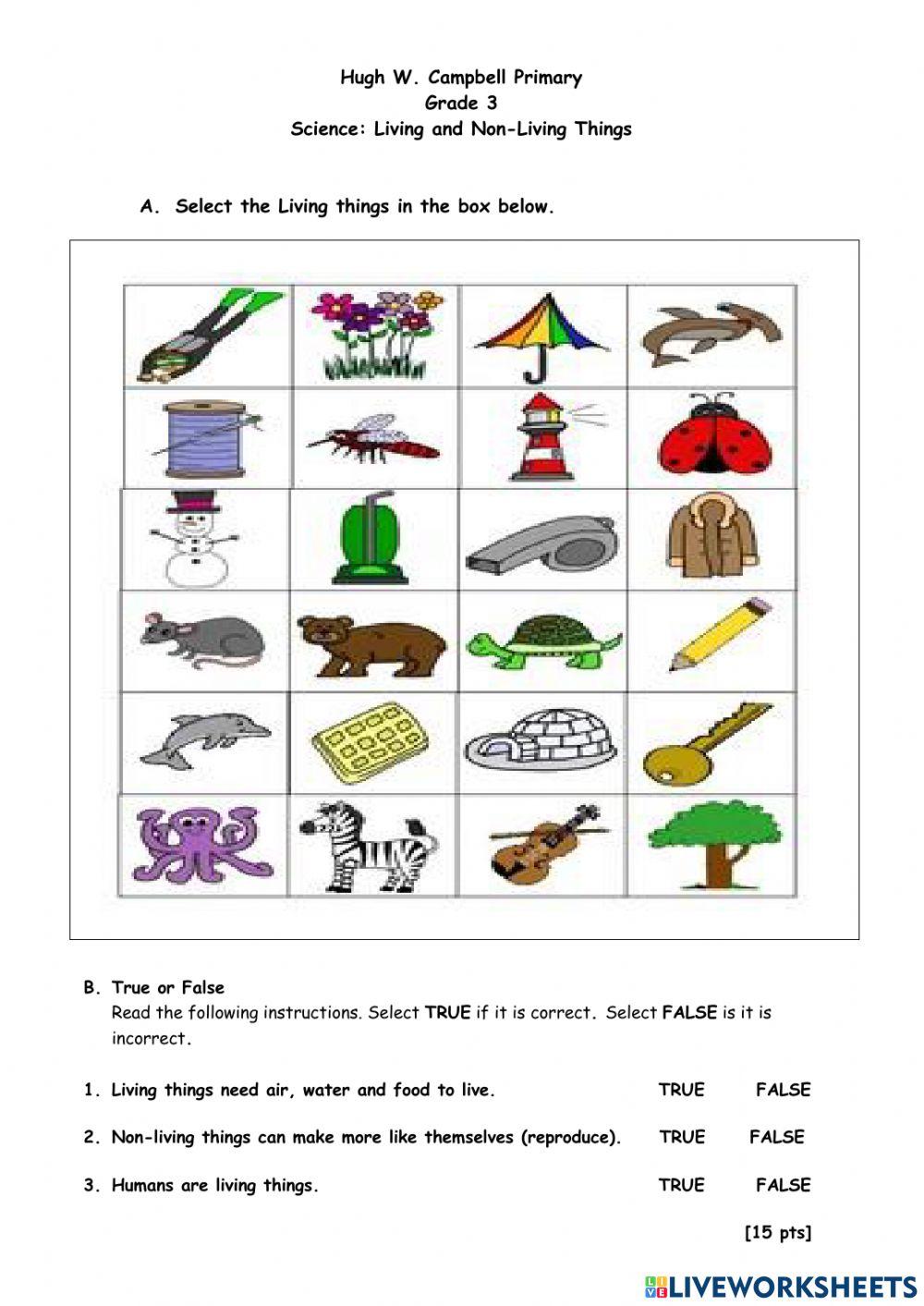 Living and Nonliving Things