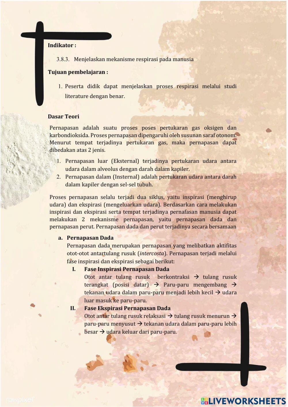 Mekanisme Pernapasan Manusia