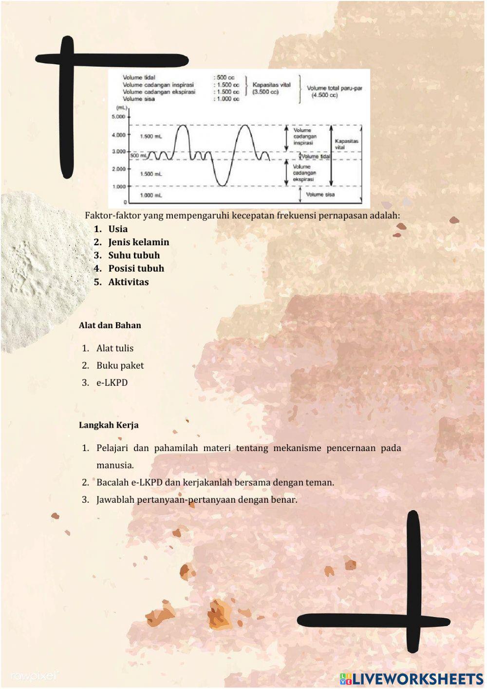 Mekanisme Pernapasan Manusia