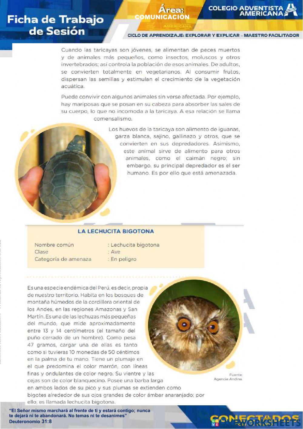 Lectura de animales amenazados