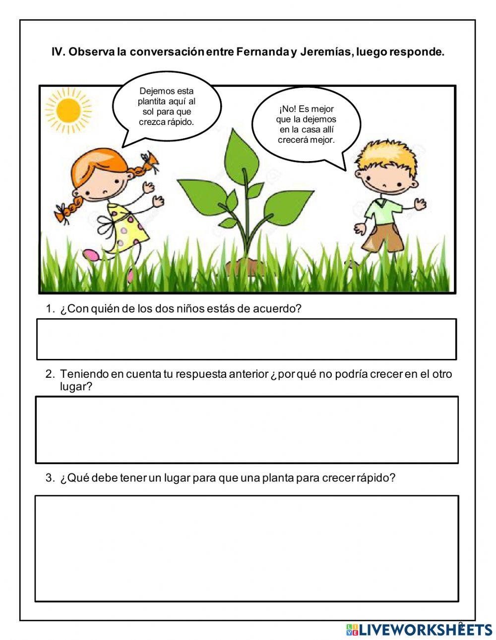 Partes de la planta y sus funciones