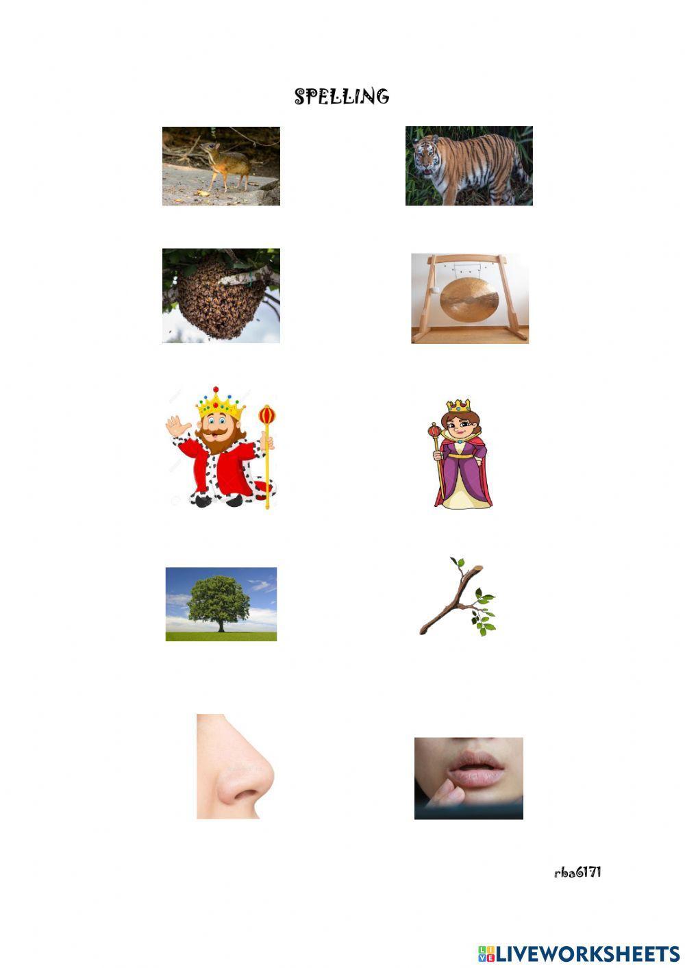 Mouse deer and the King's gong