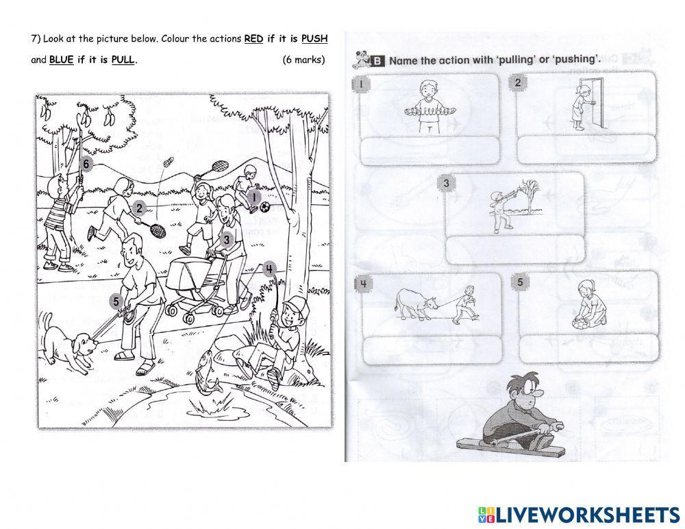 Topical Test Push and Pull Yr 2