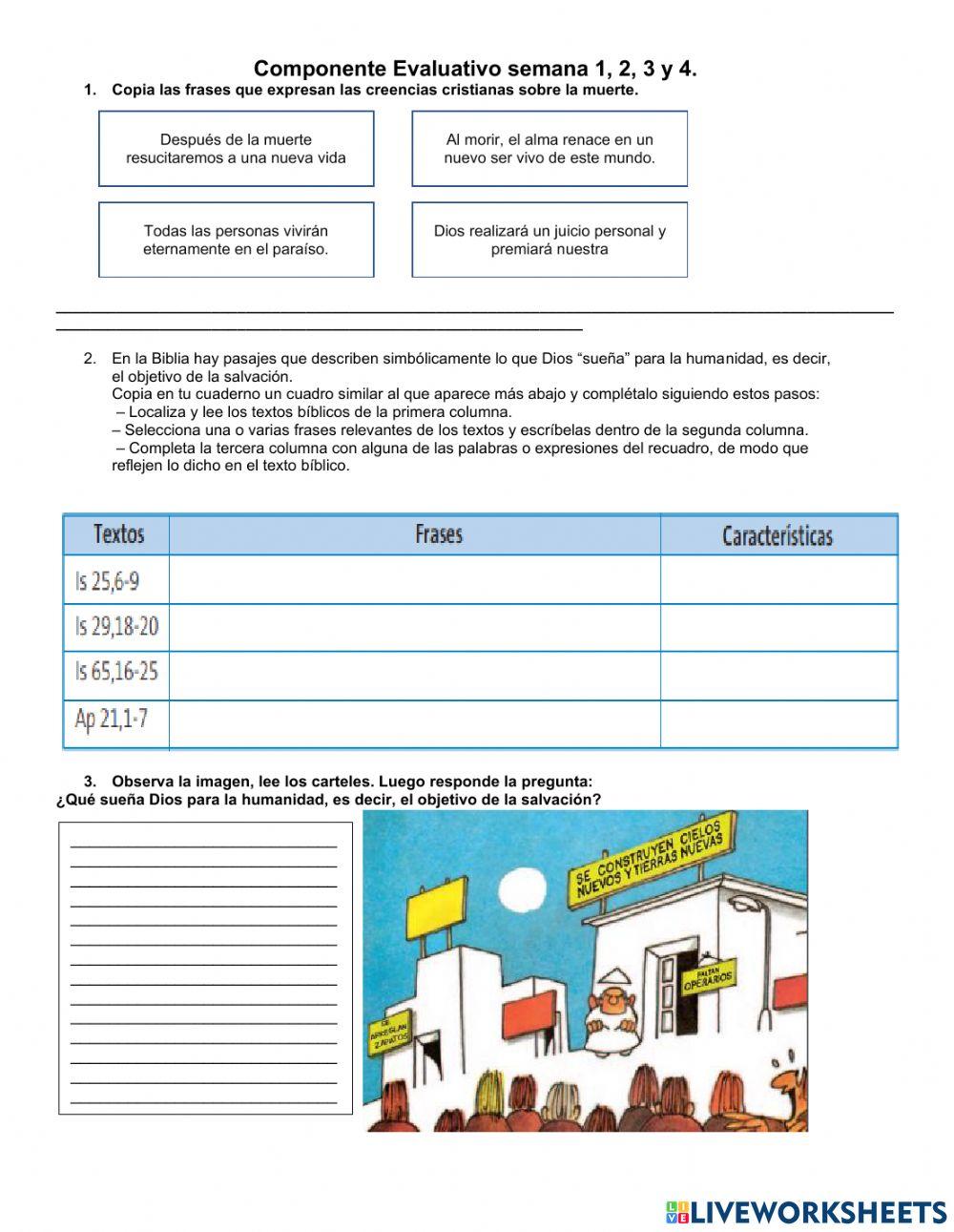 Componente evaluativo grado 6