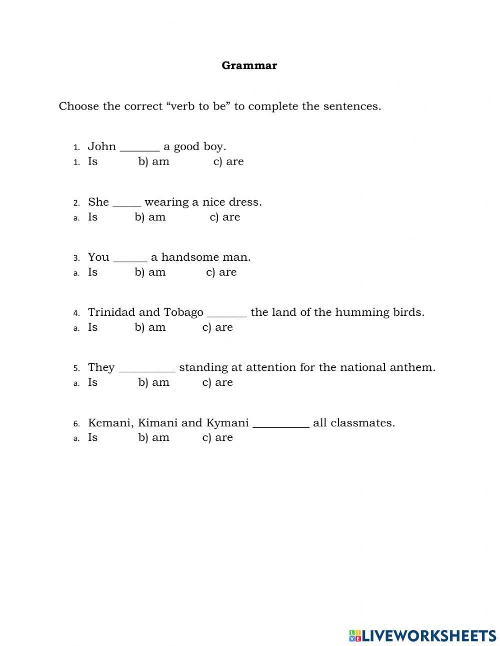 Grammar Practice Worksheet