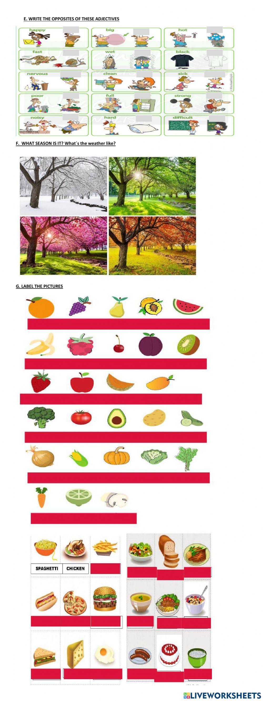 REVISION SEPTEMBER TEST - 1ST TEENS