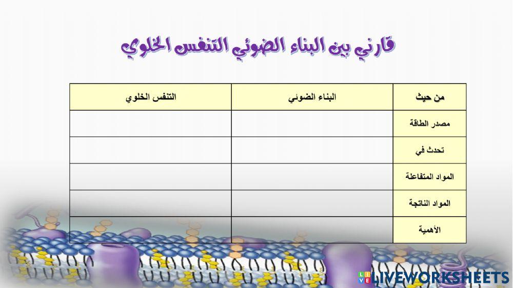 البناء الضوئي والتنفس الخلوي