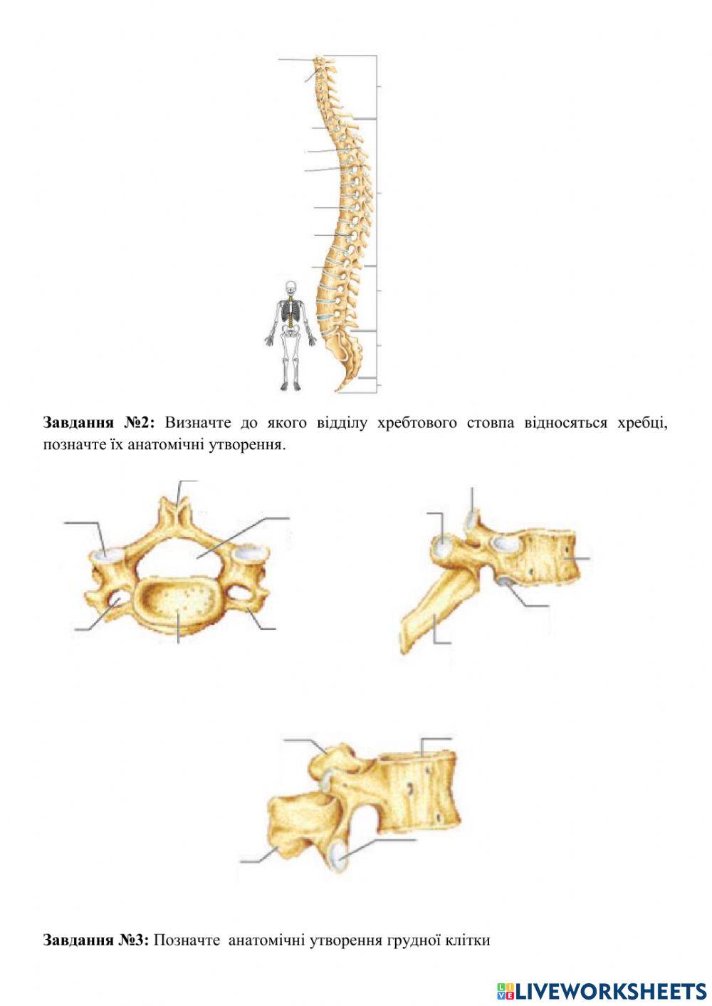 Практичне заняття 1