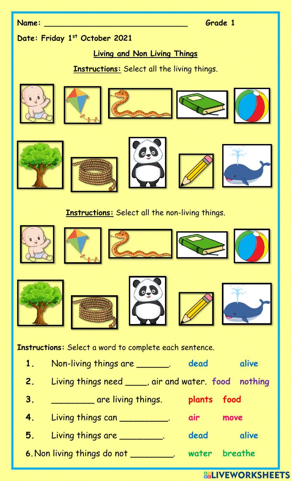 Living and Non Living Things