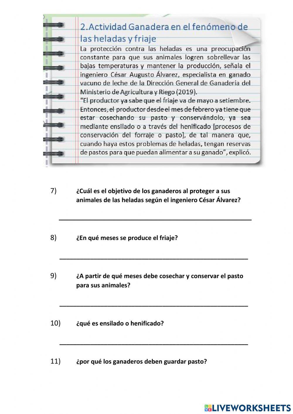 Comprensión de textos