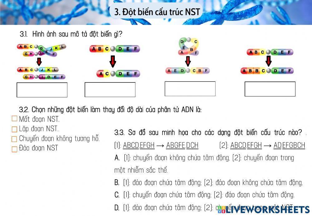 NST - đột biến cấu trúc NST