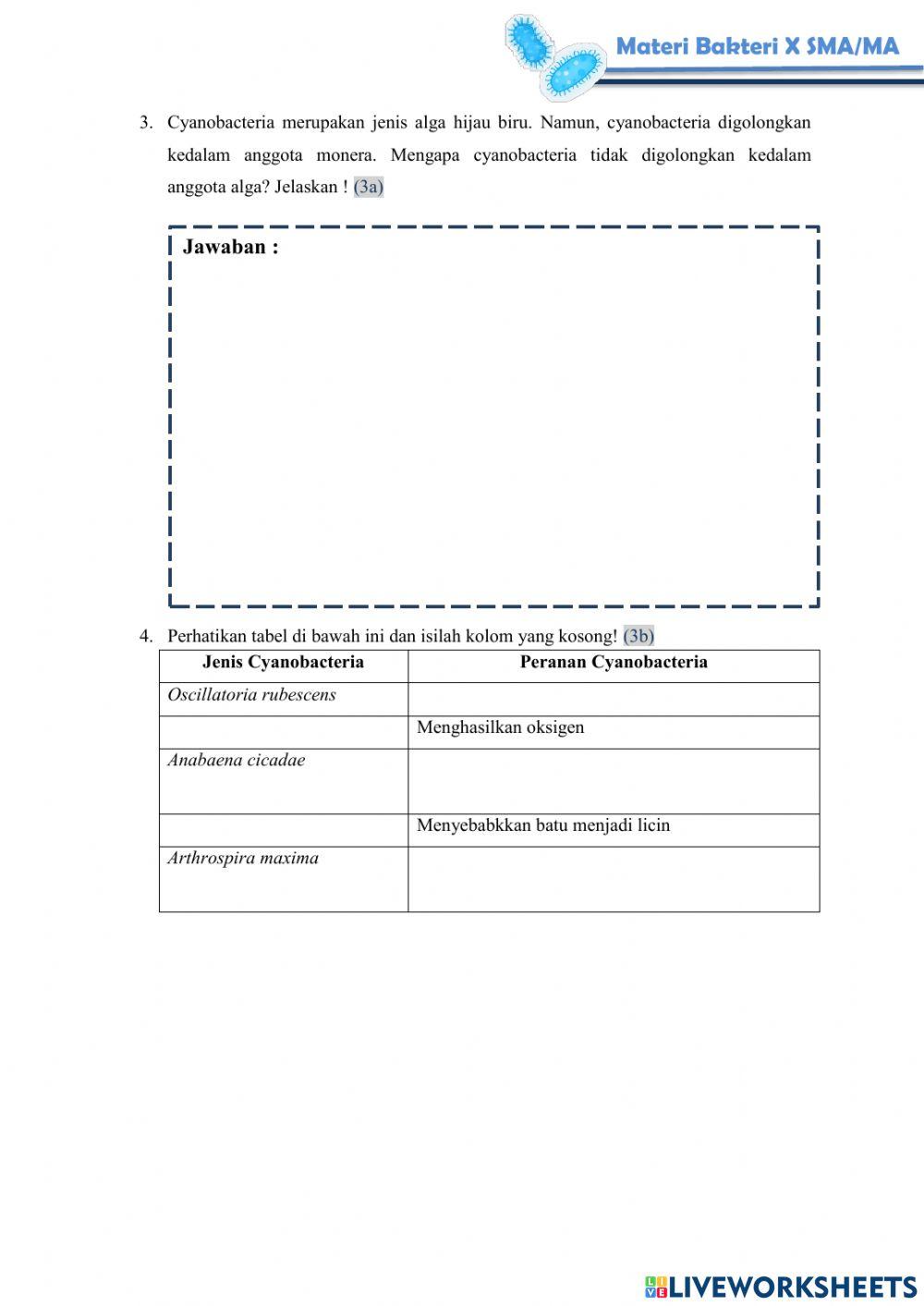 Tes Formatif Modul Materi Bakteri Pertemuan 3