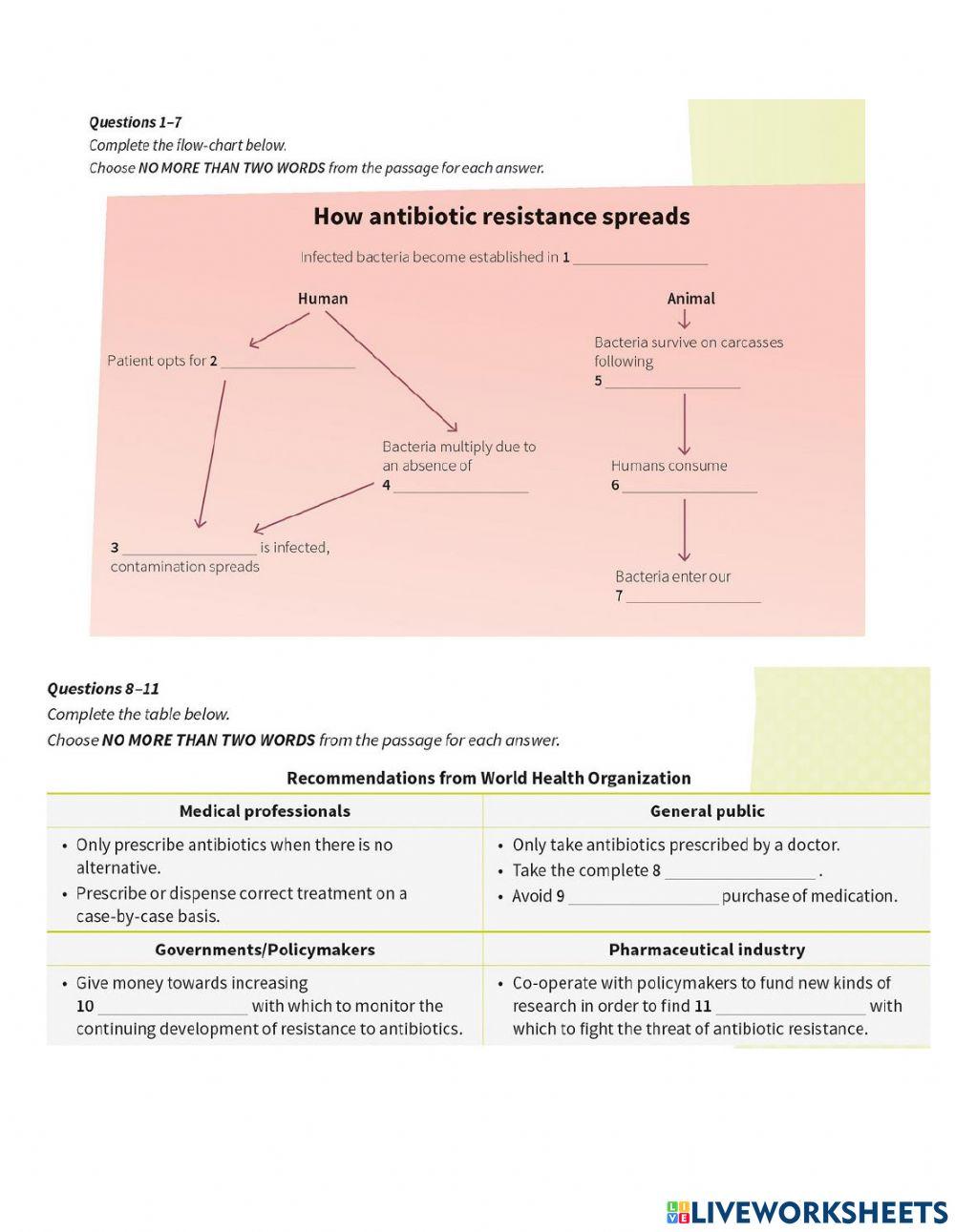 G12 Unit 2 Health - Exam Skills