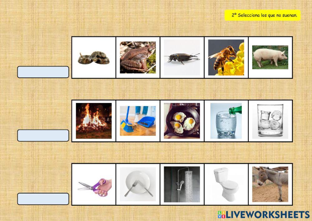 SONIDOS DEL ENTORNO 12