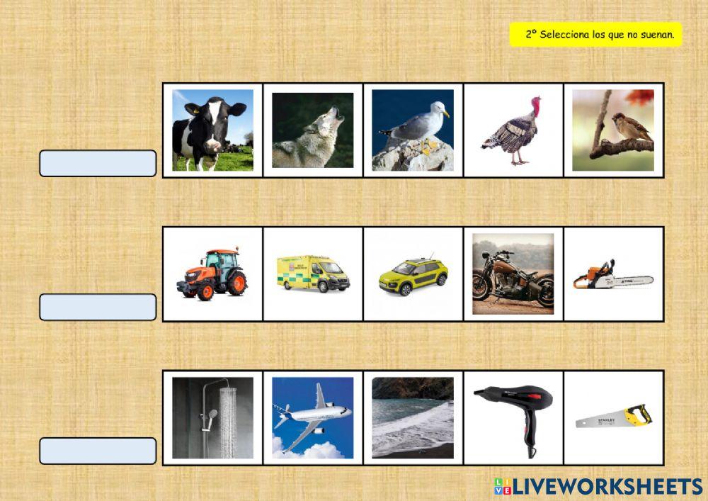 SONIDOS DEL ENTORNO 15