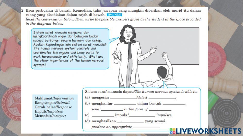 B1 Rangsangan dan gerak balas