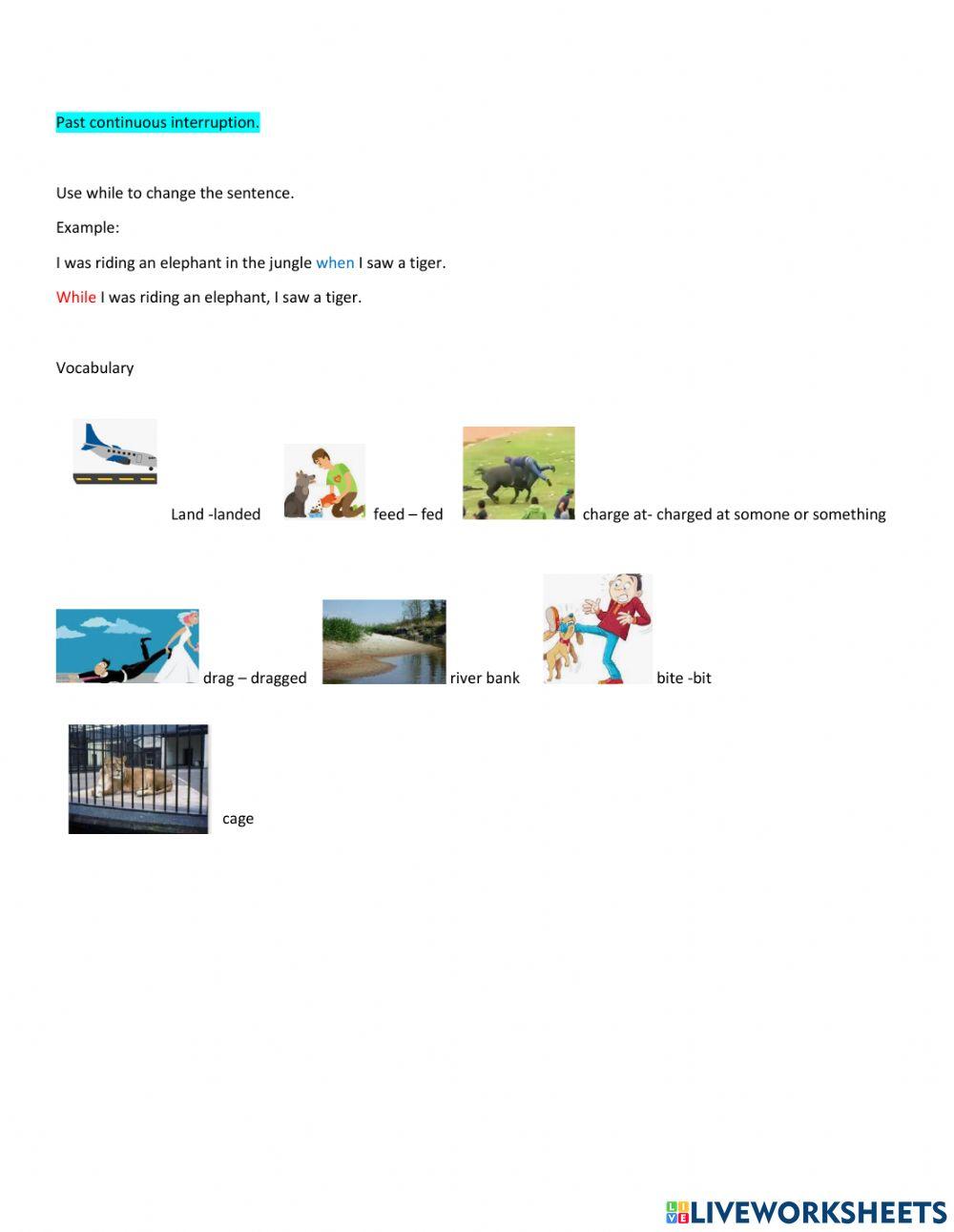 Past conitnuous while