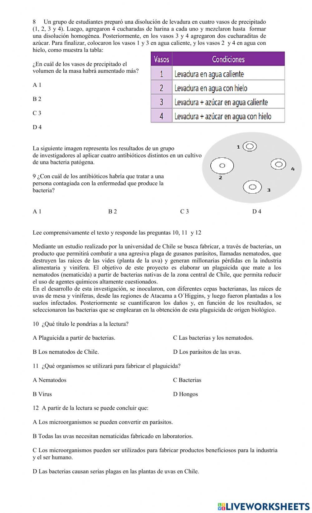 Agentes  patógenos y Cuidados