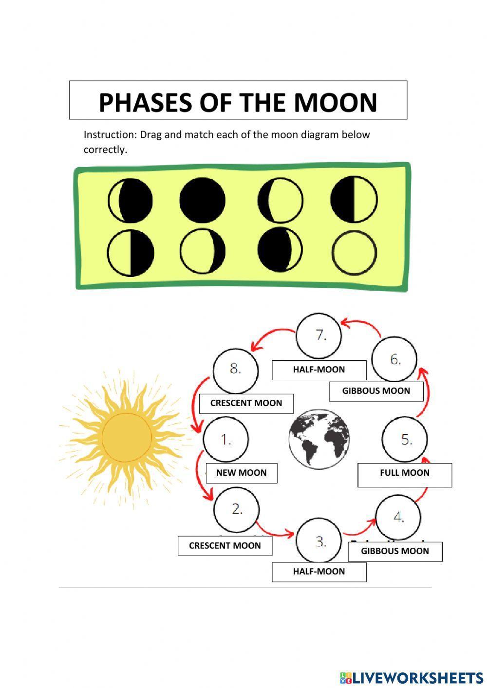 DLP:Phases of the moon