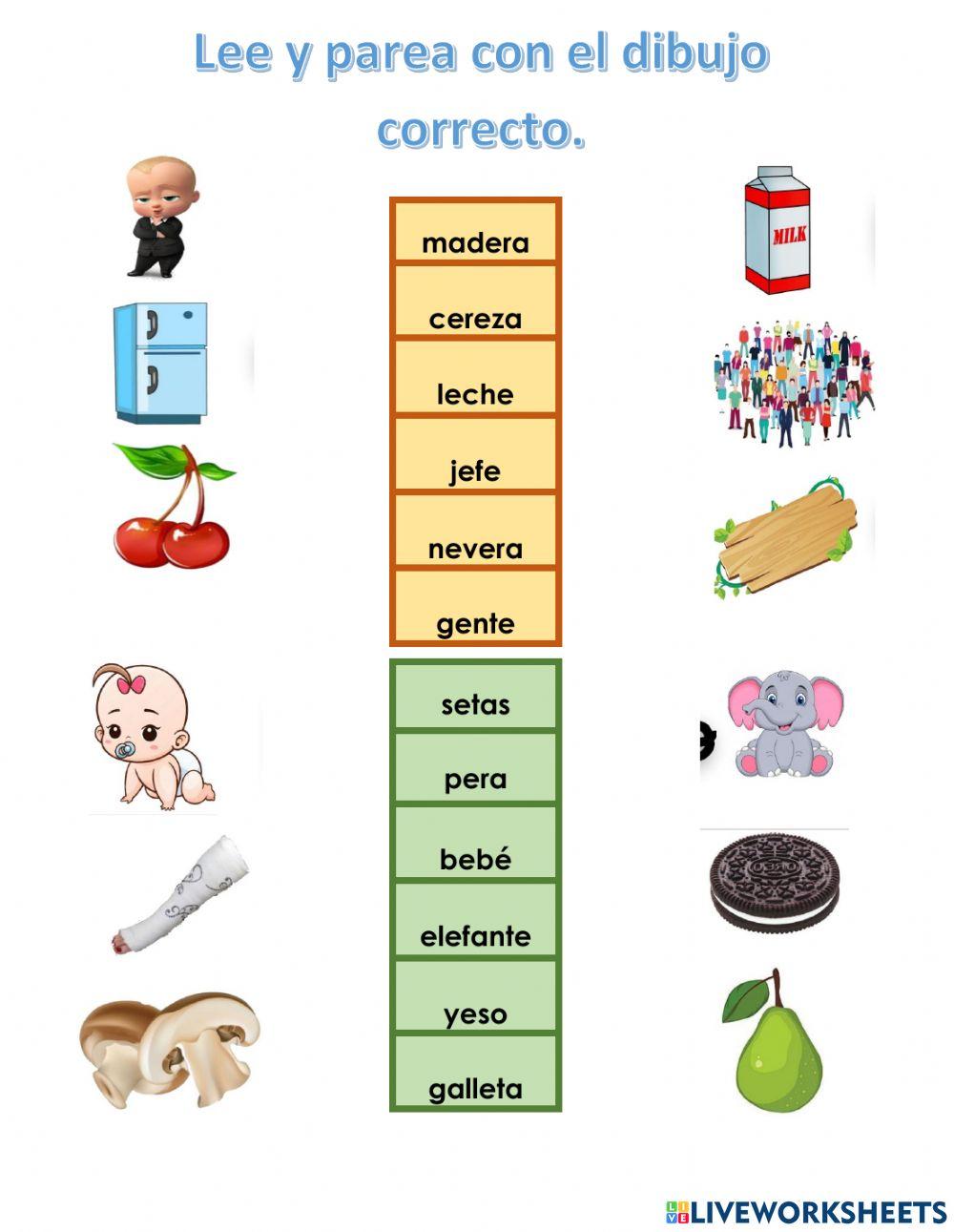 Lectura del vocabulario