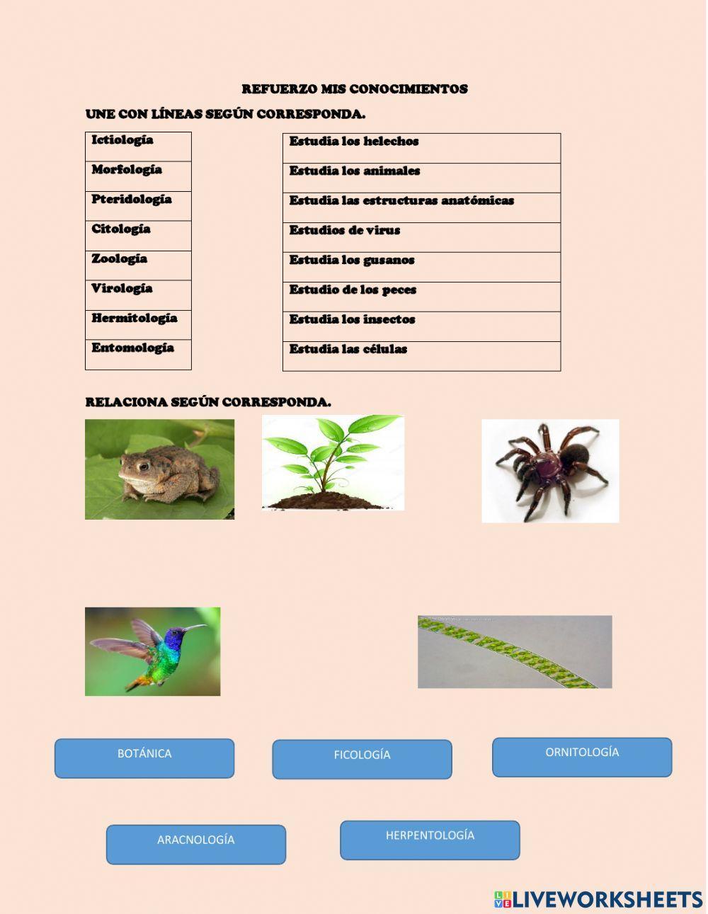 Ramas de la biología