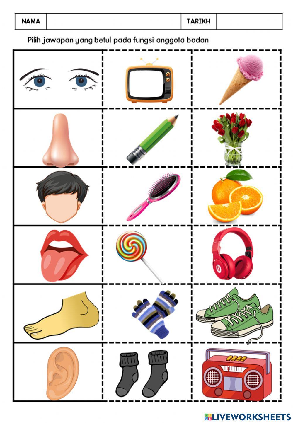 Pengurusan diri(anggota asas badan)