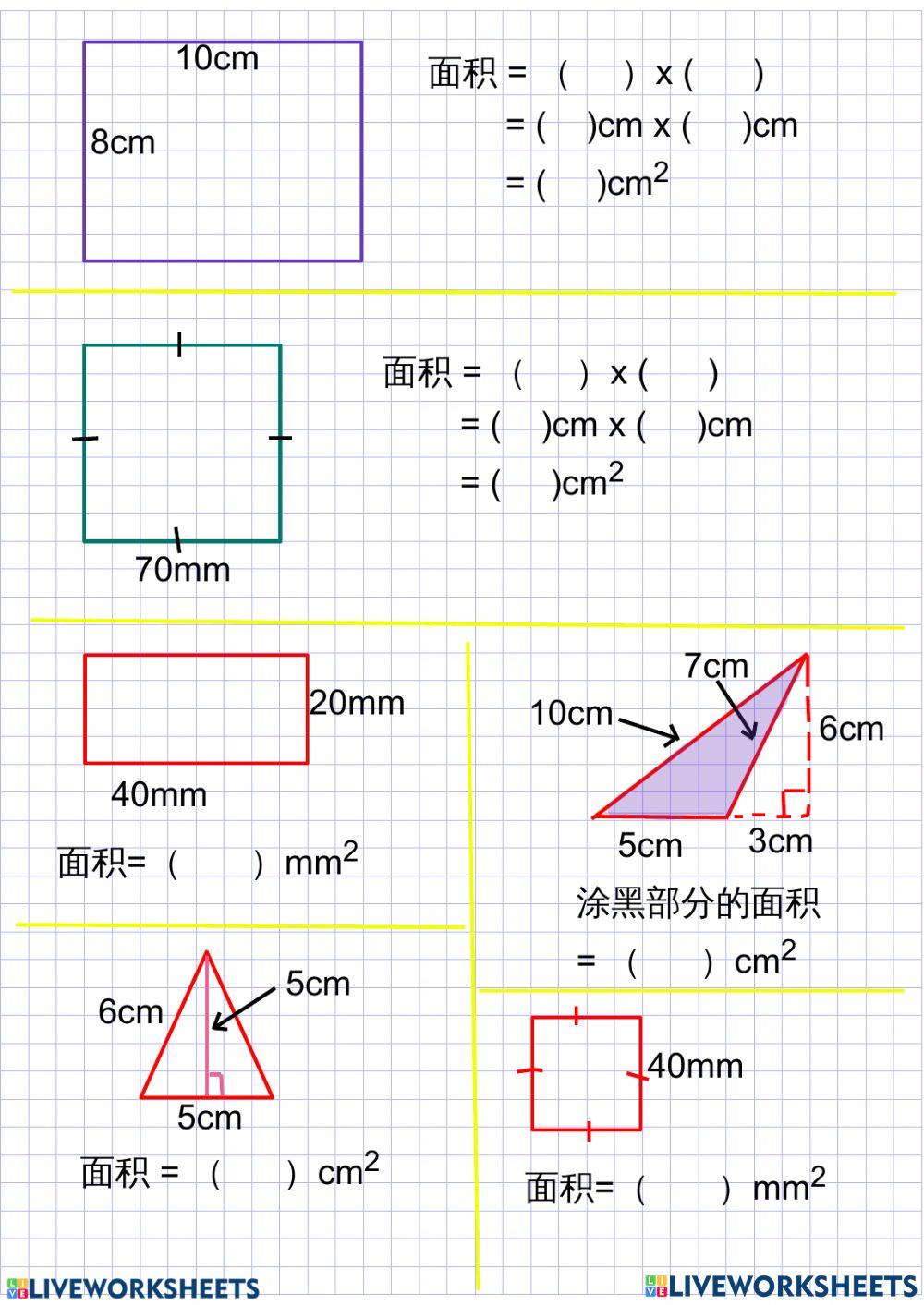 四年级 空间（面积）