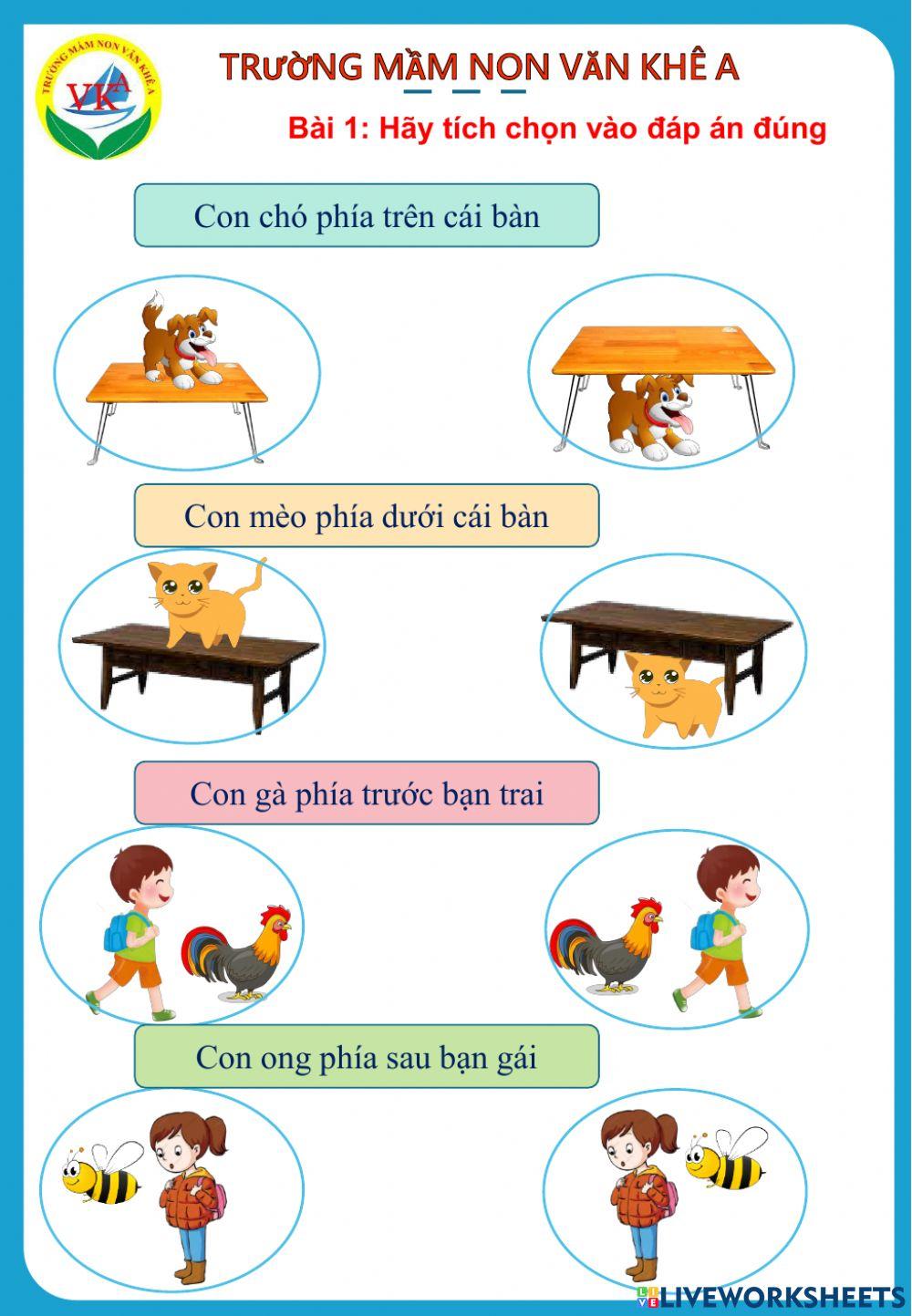 Xác định trên dưới, trước sau