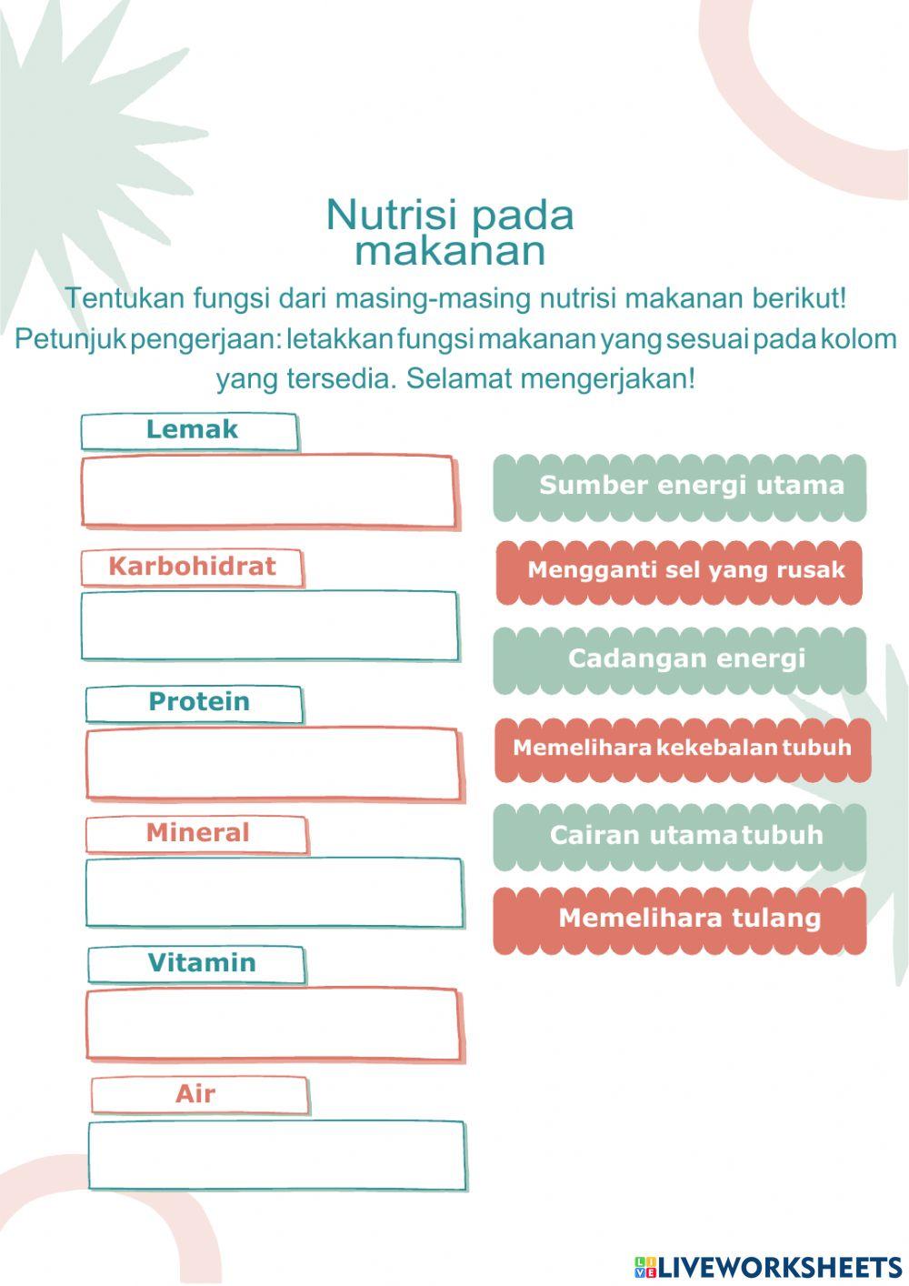 Sistem pencernaan pada makanan