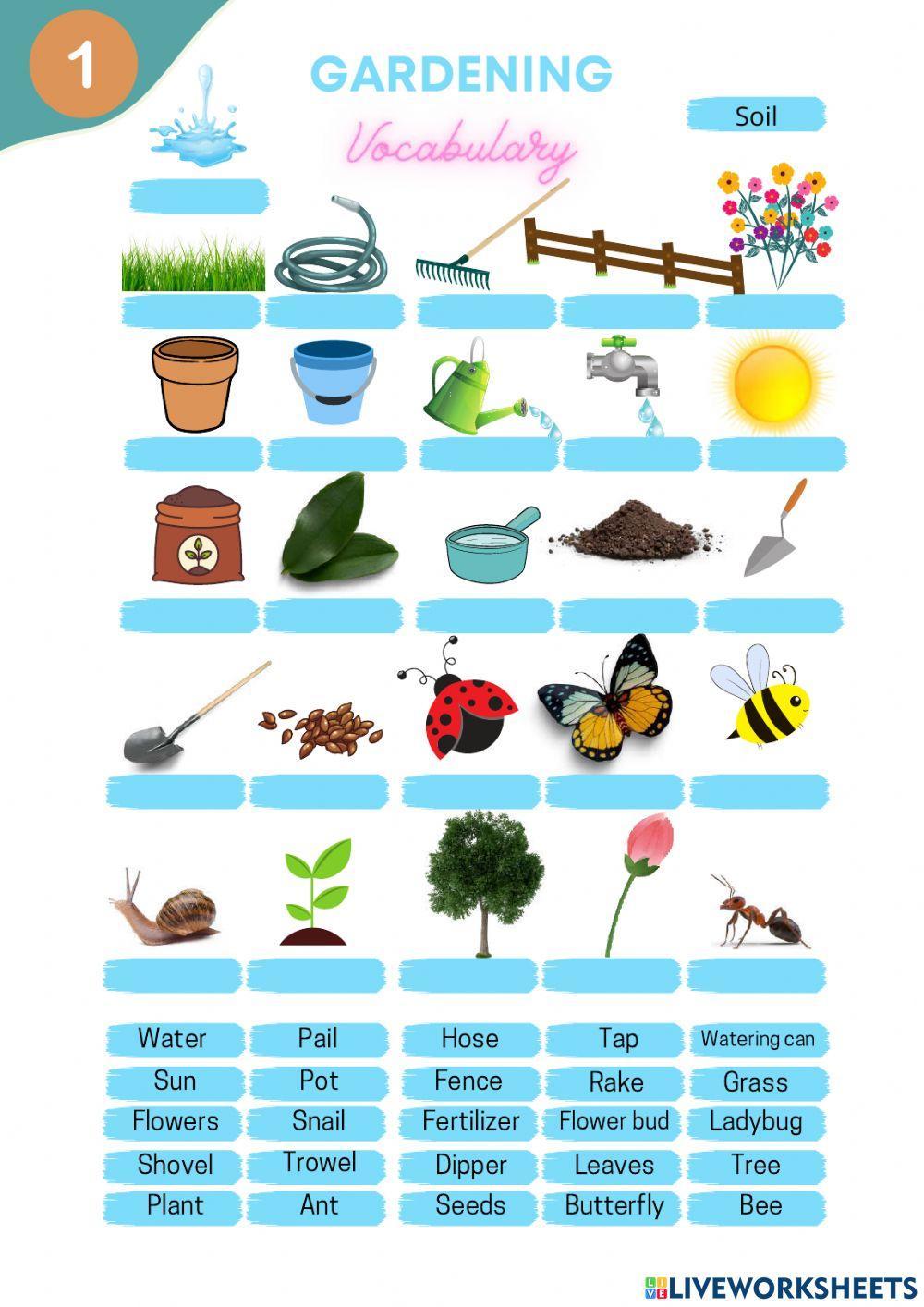 Gardening | Wahyu Tri Mei Susanti | Live Worksheets