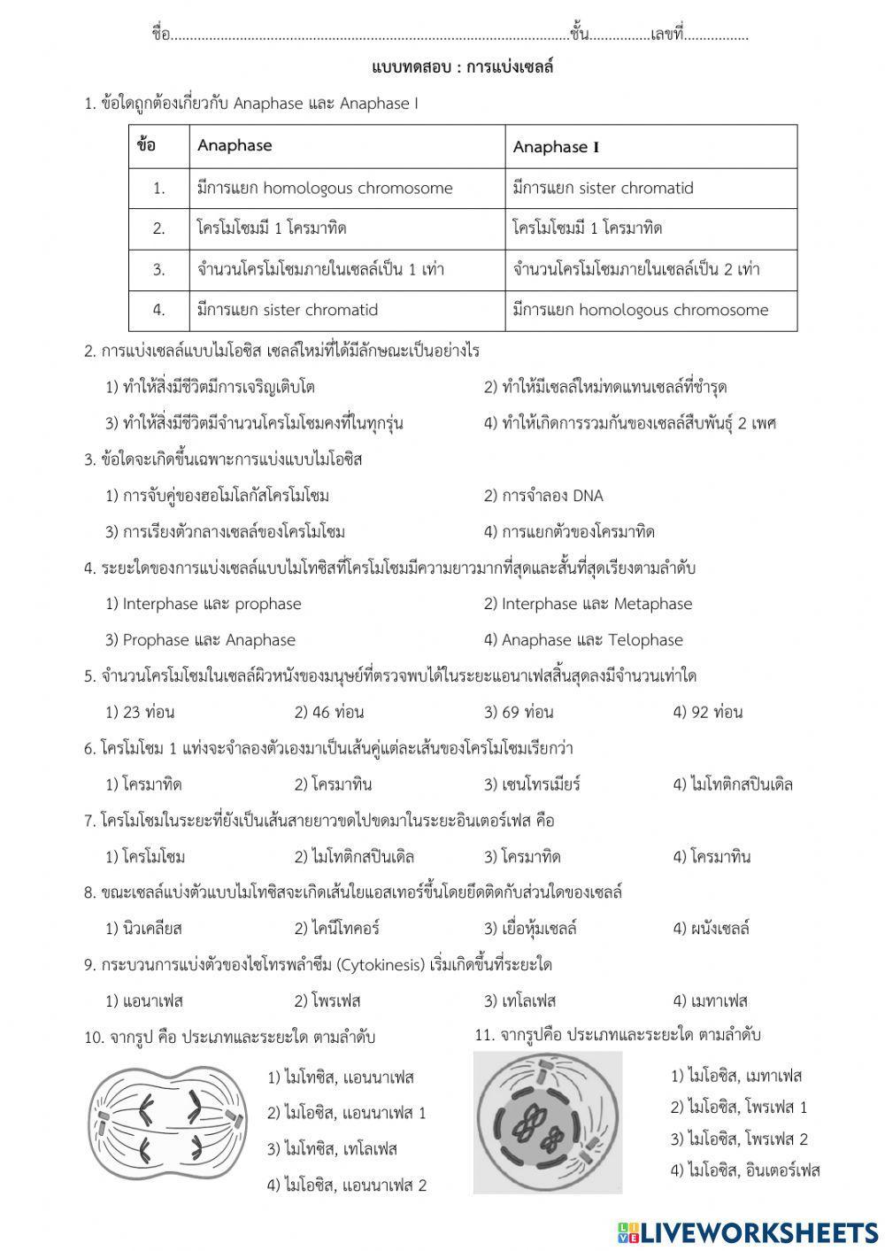 แบบทดสอบเรื่อง การแบ่งเซลล์ ม.4