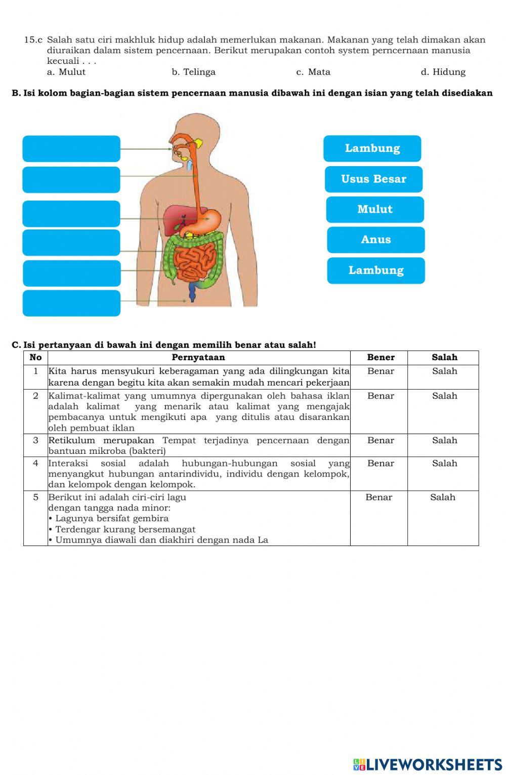 Soal PTS Kelas 5 Tema 3