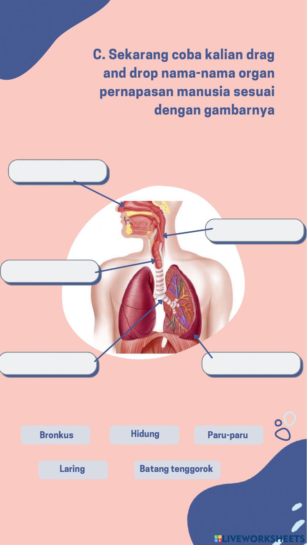Lembar Kerja Peserta Didik Kelompok 6