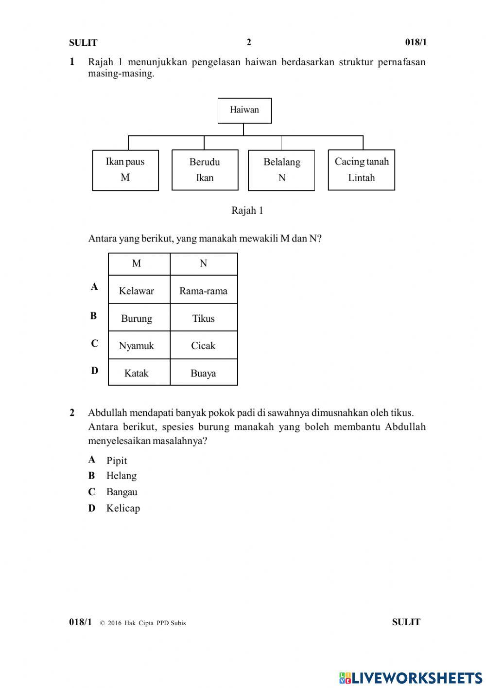 Soalan Y6 Paper 1 Part 1