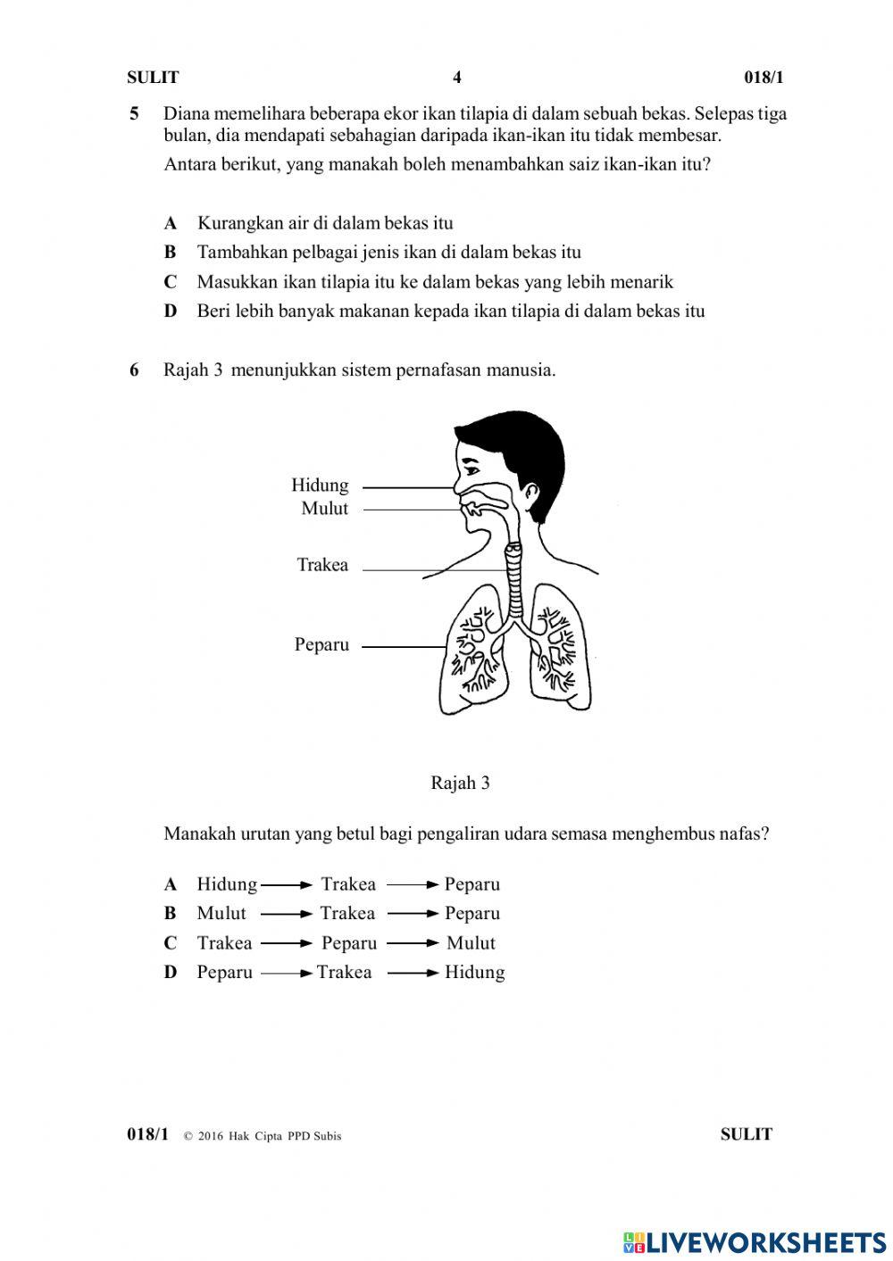 Soalan Y6 Paper 1 Part 1