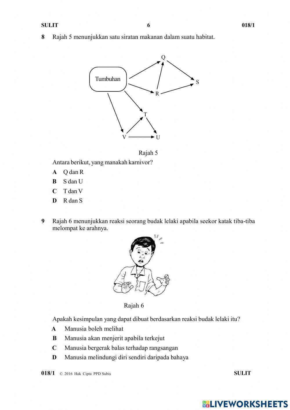 Soalan Y6 Paper 1 Part 1