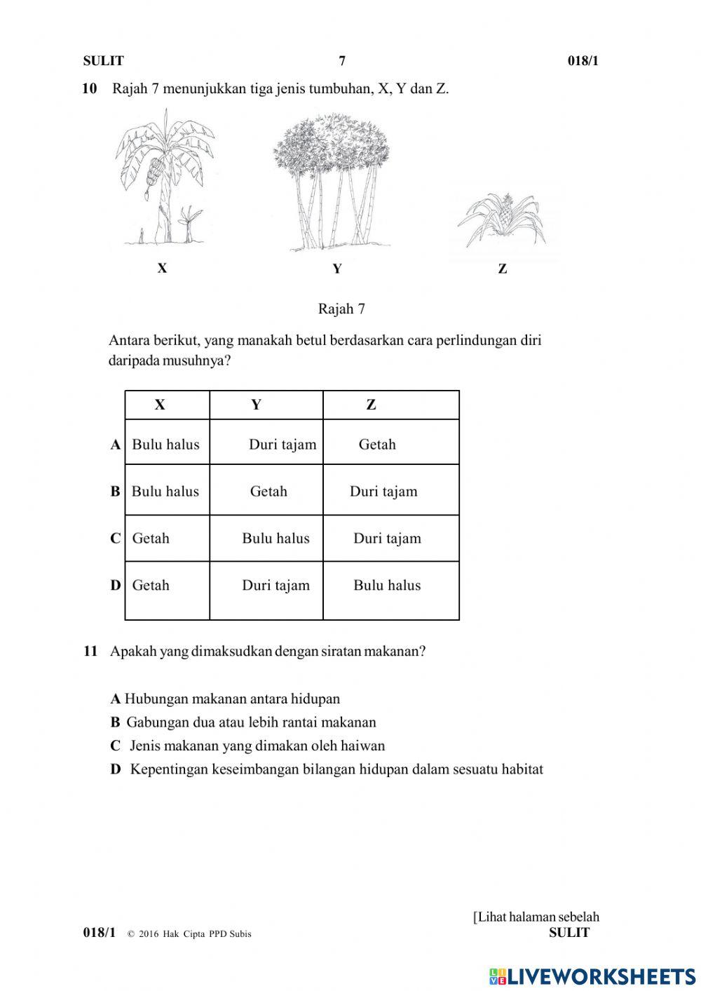 Soalan Y6 Paper 1 Part 1
