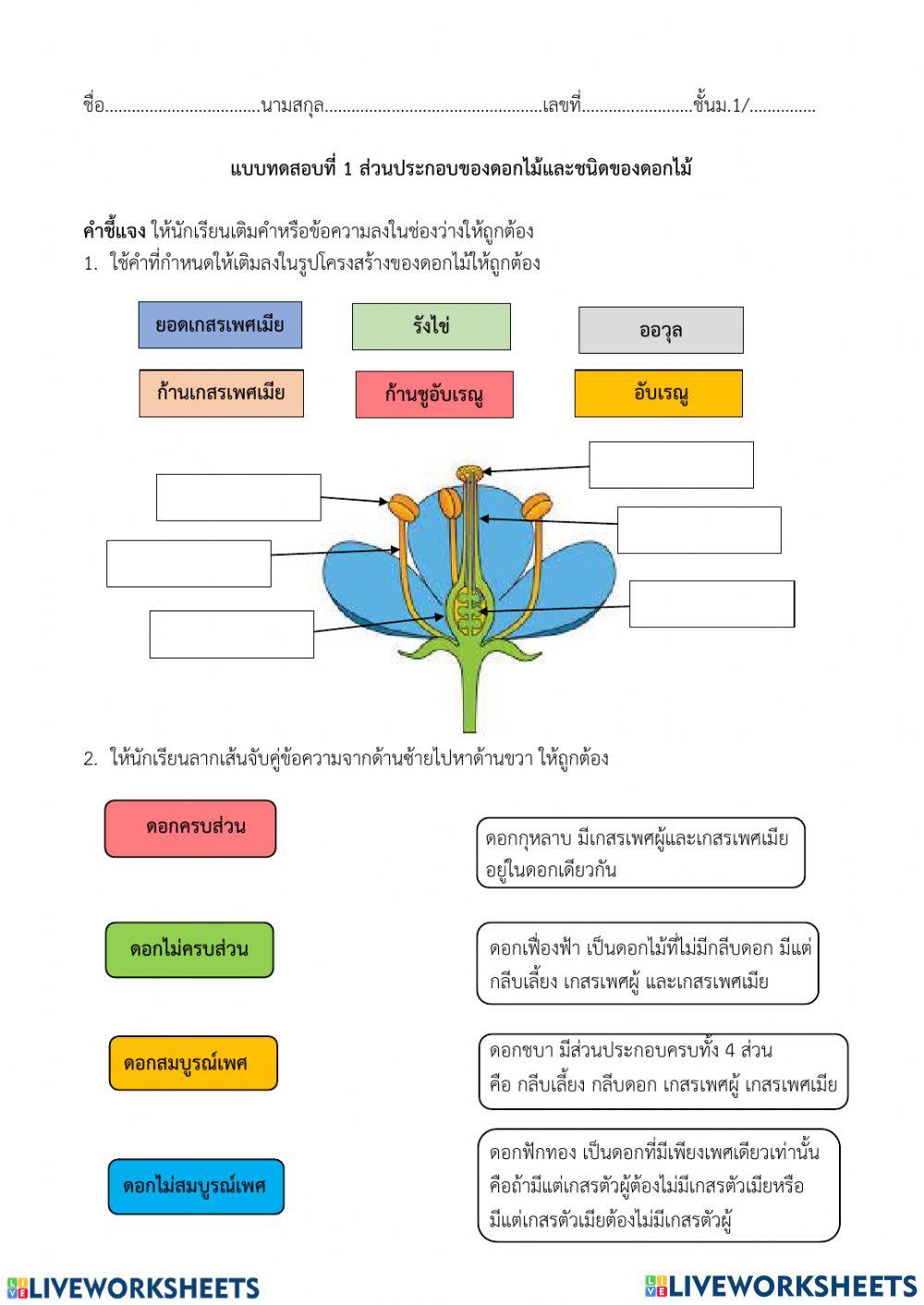 ส่วนประกอบของดอก