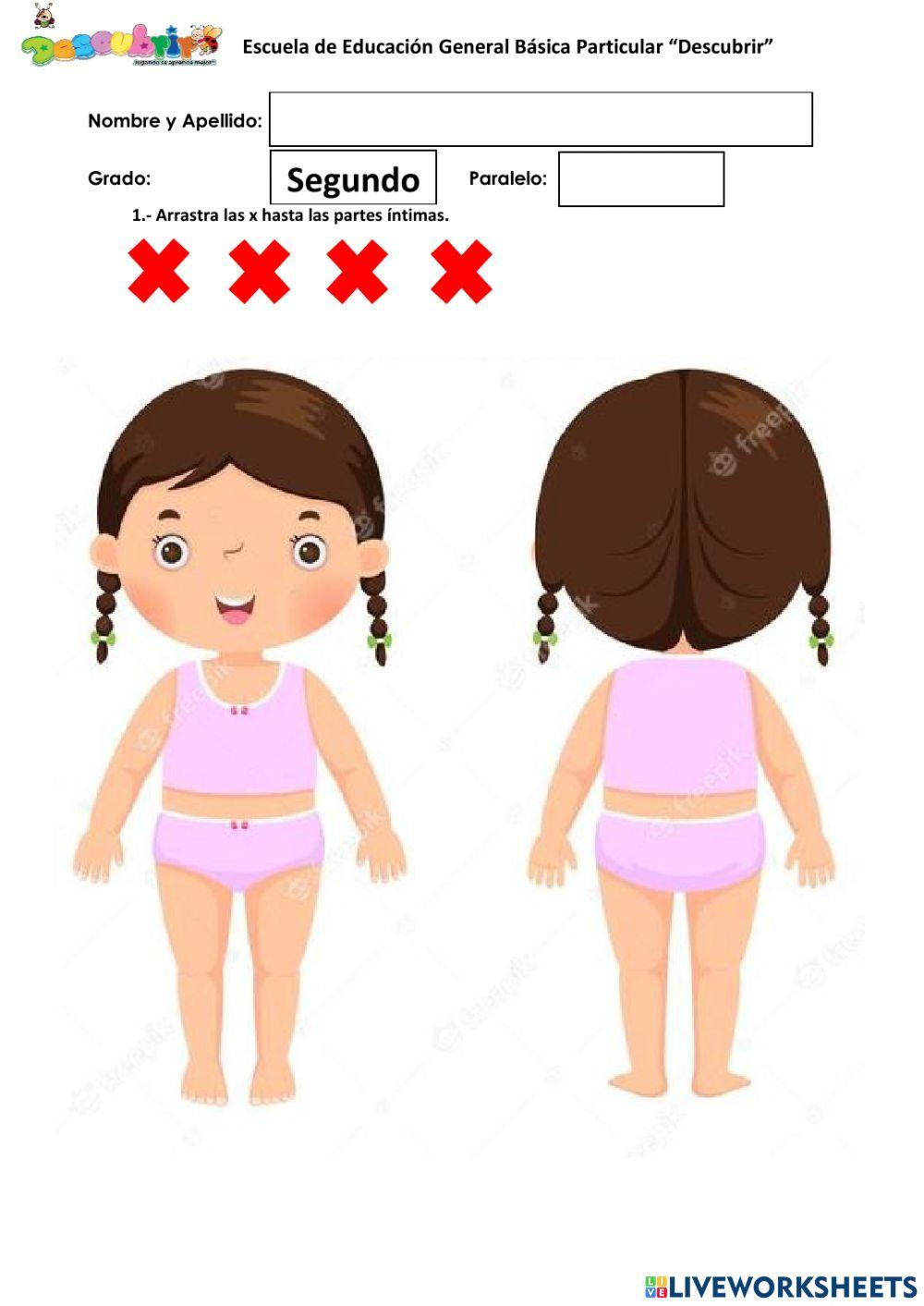 Partes intimas del cuerpo humano