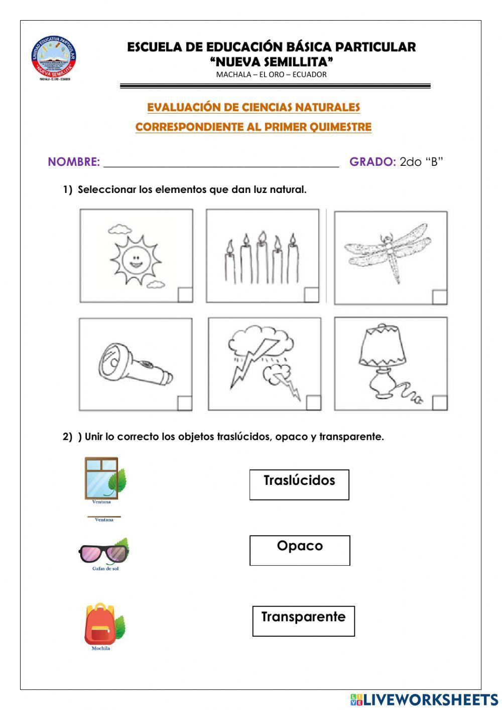 Evaluación quimestral de ciencias naturales