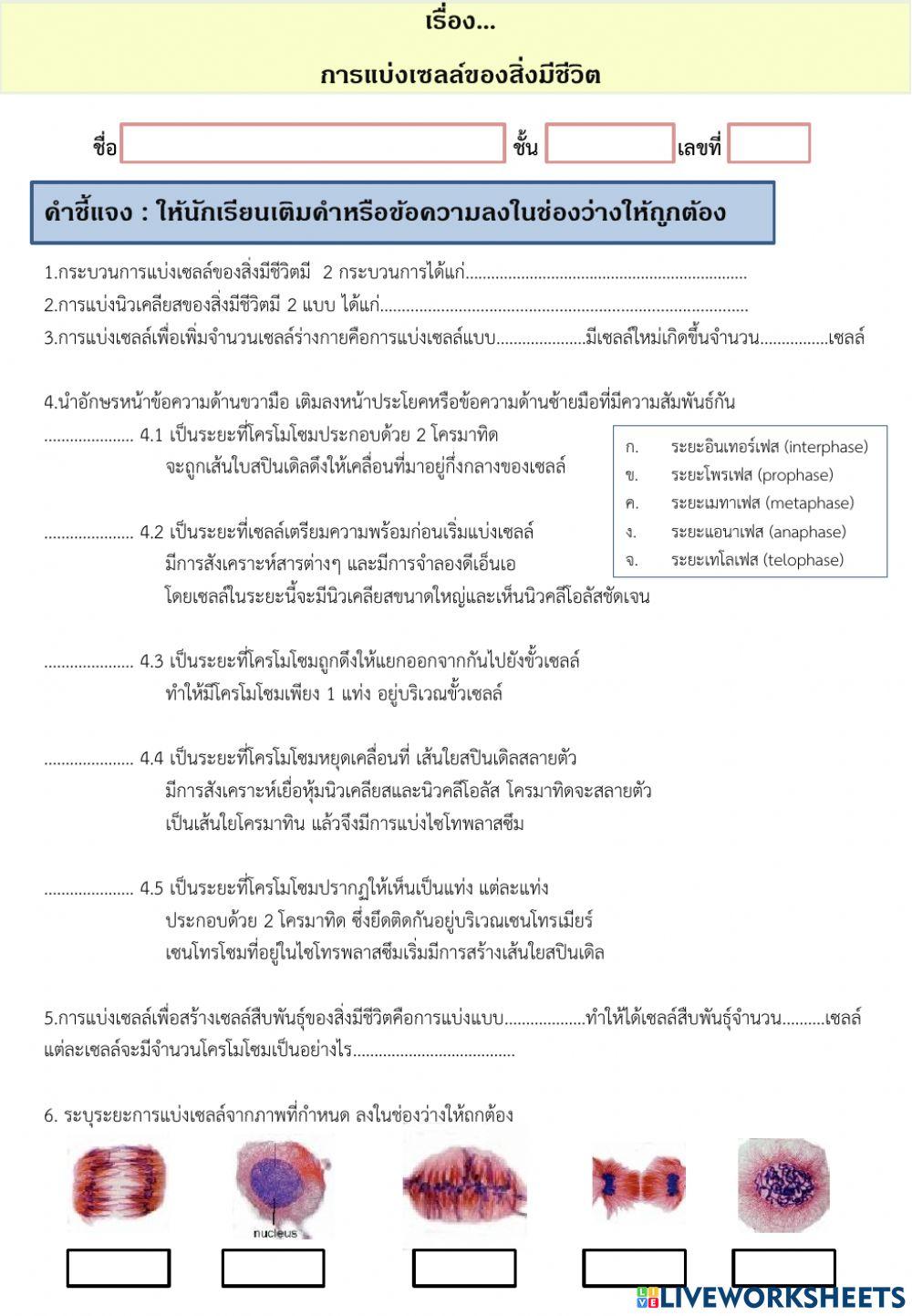 การแบ่งเซลล์ของสิ่งมีชีวิต