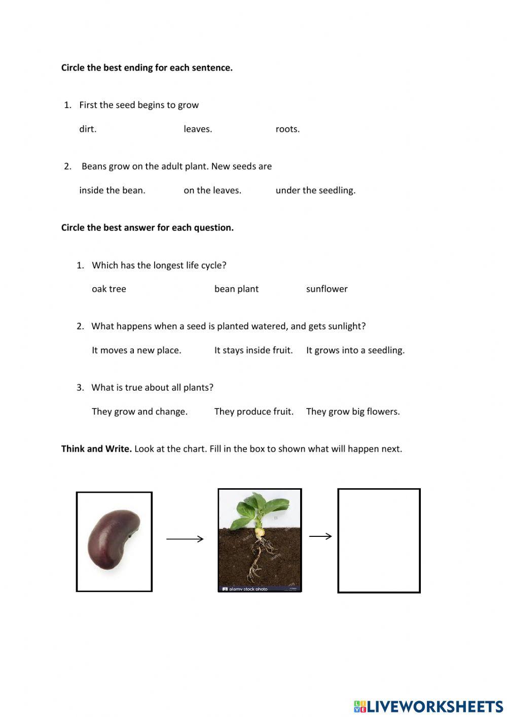 Science 1 unit 3: lesson 2 1460415 Jasmine Live